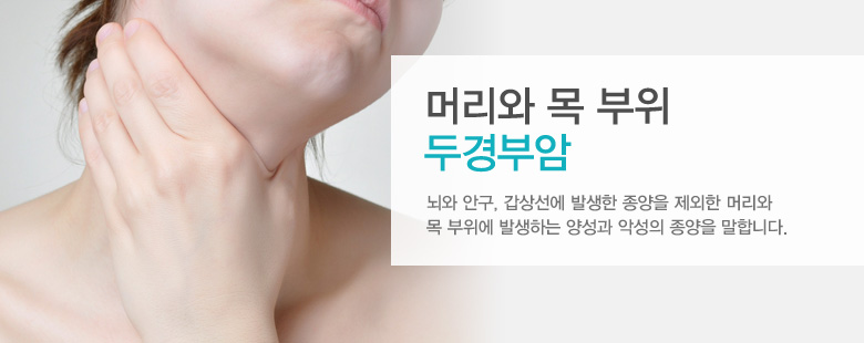 머리와 목 부위 두경부암