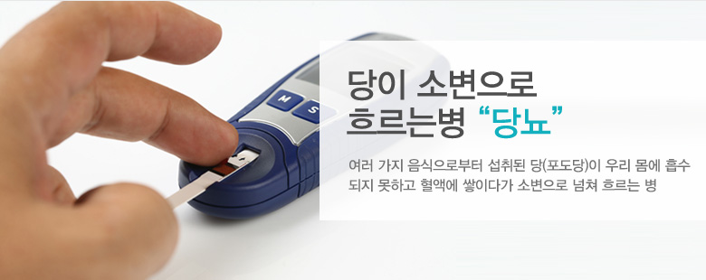 당이 소변으로 흐르는병 